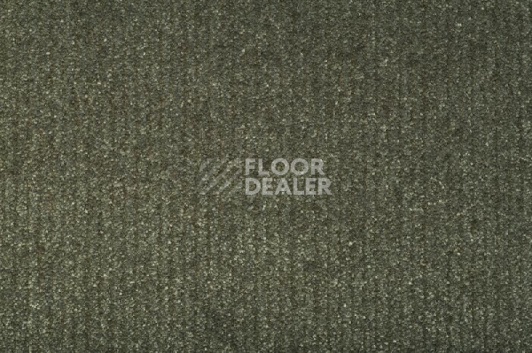 Ковролин Balta ITC Eliot 29 фото 1 | FLOORDEALER